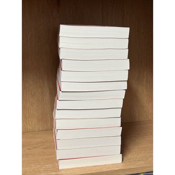 德川家康全傳新版(全27冊,平裝,不分售) New Edition of Complete Biography Tokugawa Leyasu - Picture 5 of 6